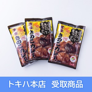 �y11��12��(��)�{�X���z [�啪���ő��_�Ƌ����g��] �L�カ�̂��J���[(3��)